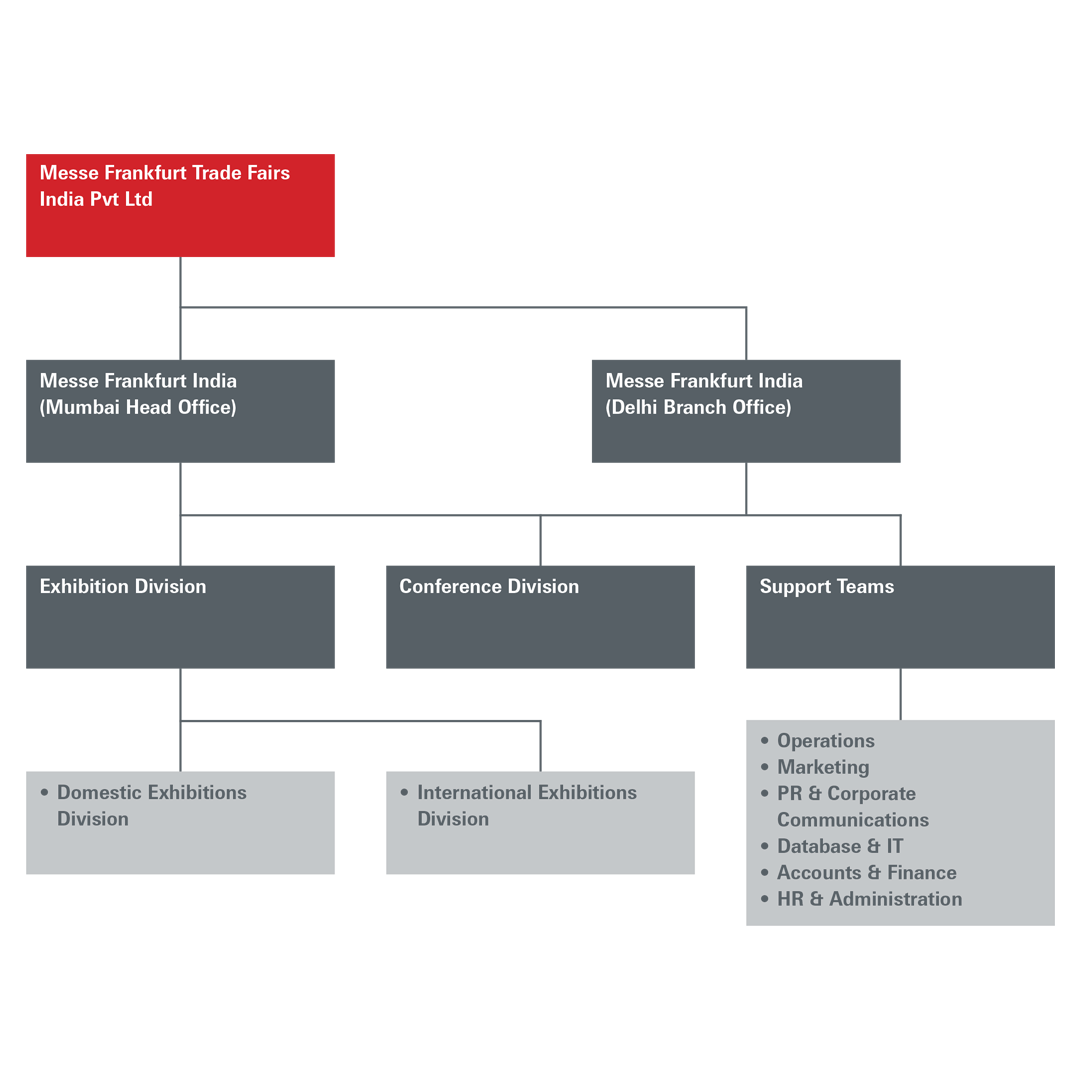 MF IN Group Structure